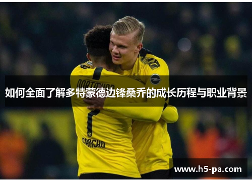 如何全面了解多特蒙德边锋桑乔的成长历程与职业背景