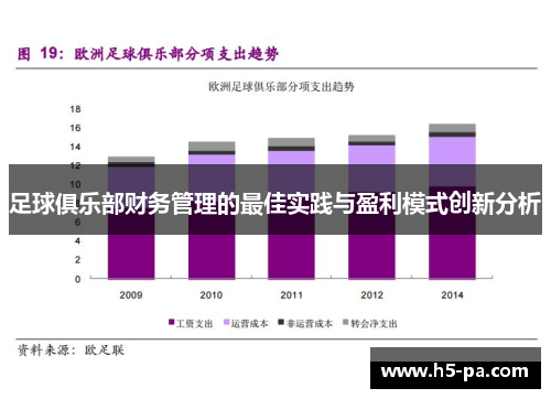 足球俱乐部财务管理的最佳实践与盈利模式创新分析
